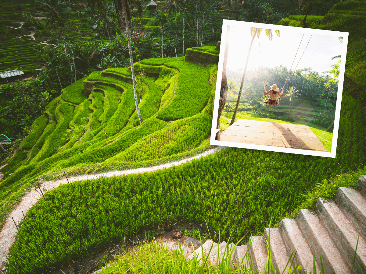 Tegalalang Rice Terraces/Bali Swing