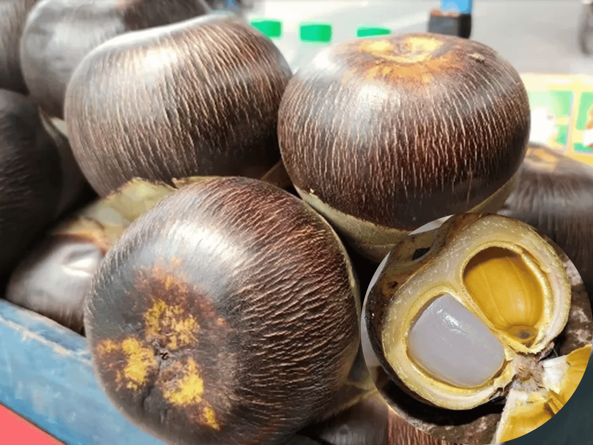Buah Lontar or Palm Fruit